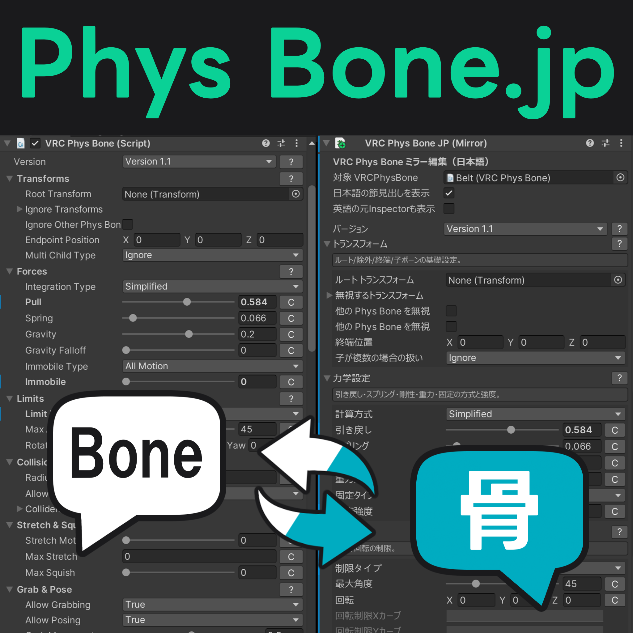Phys Bone.jp